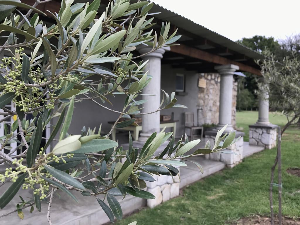 Отель Florence Guest Farm Chrissiesmeer Экстерьер фото